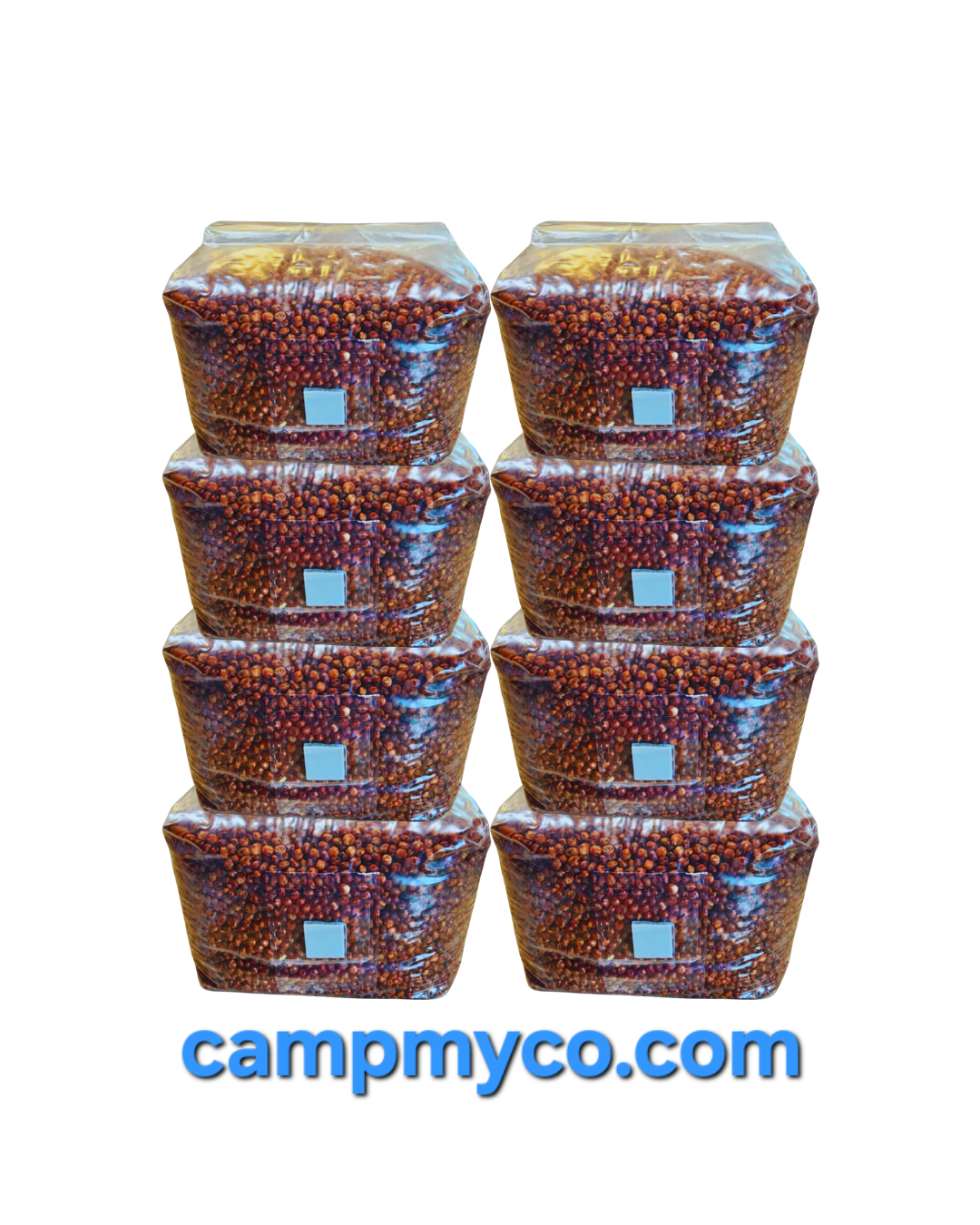 Sterilized 3lb grain bag With Injection Port