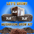 Mushroom Grow Kit / Refill Bundle